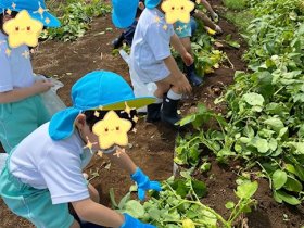 園外保育画像