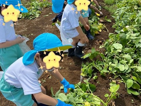 園外保育画像